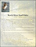 Todesanzeige Kavik River Soul Dabsi, Uitikon