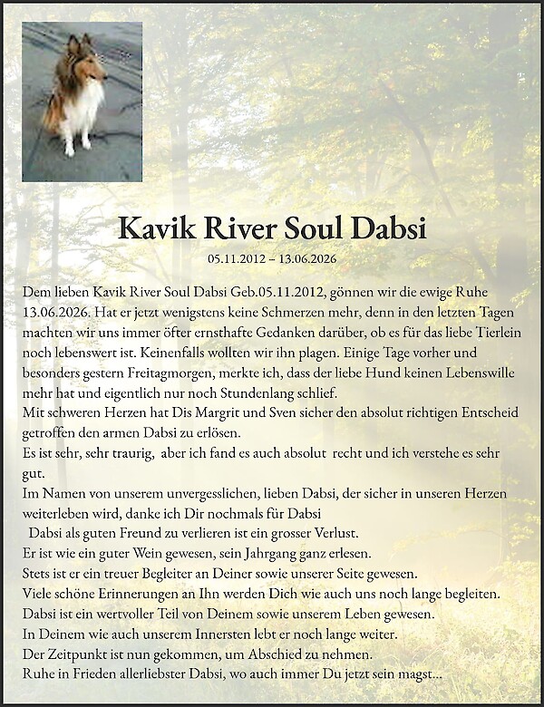 Todesanzeige von Kavik River Soul Dabsi, Uitikon