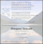 Necrologio Hanspeter Ammann